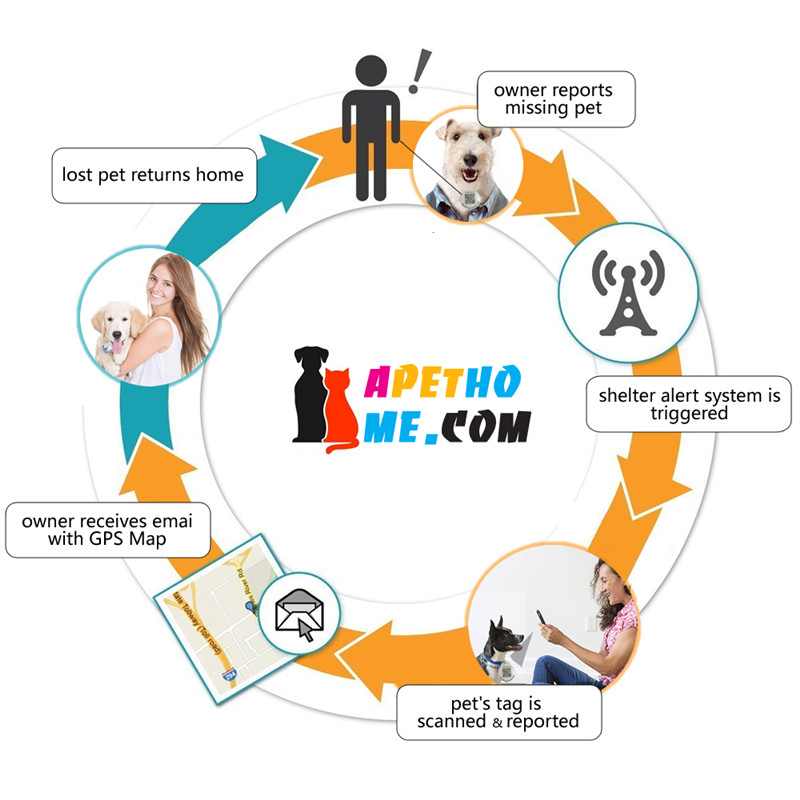 Cão e Gato personalizado etiquetas tags aço inoxidável Pet ID tag QR code scanner inteligente de localização GPS