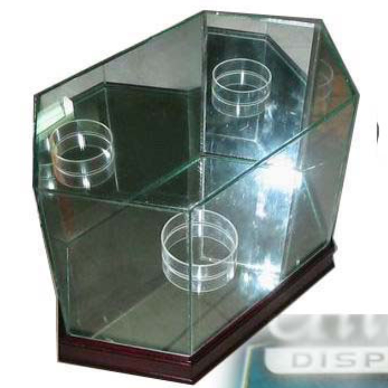 Vitrine de vidro de futebol Octagon