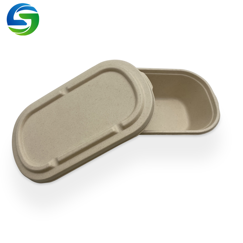 Impacto do novo regulamento sobre plásticos de USO único Na China e OS Desafios a enfrentar Na execução Da política