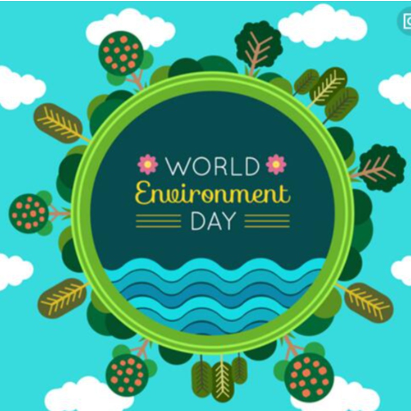 Proteção ambiental