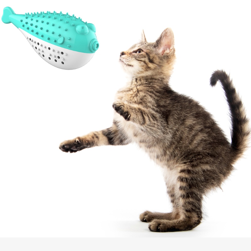 Furjoyz atacado engraçado animal de estimação brinquedos escova brinquedo interativo gato portátil inteligente dentes limpos borracha catnip gato brinquedo