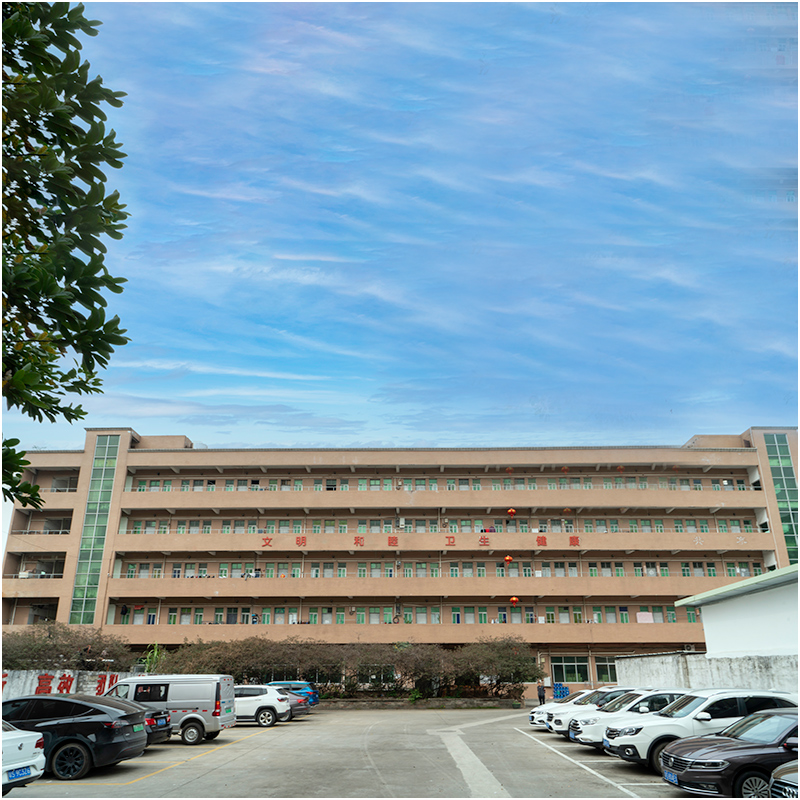 Como é uma fábrica de molde de injeção em seus olhos?