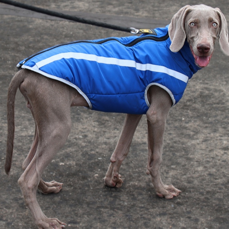 Fabricante atacado ao ar livre estilo fresco altamente reflexivo tópicos jaqueta de cão casacos à prova d'água