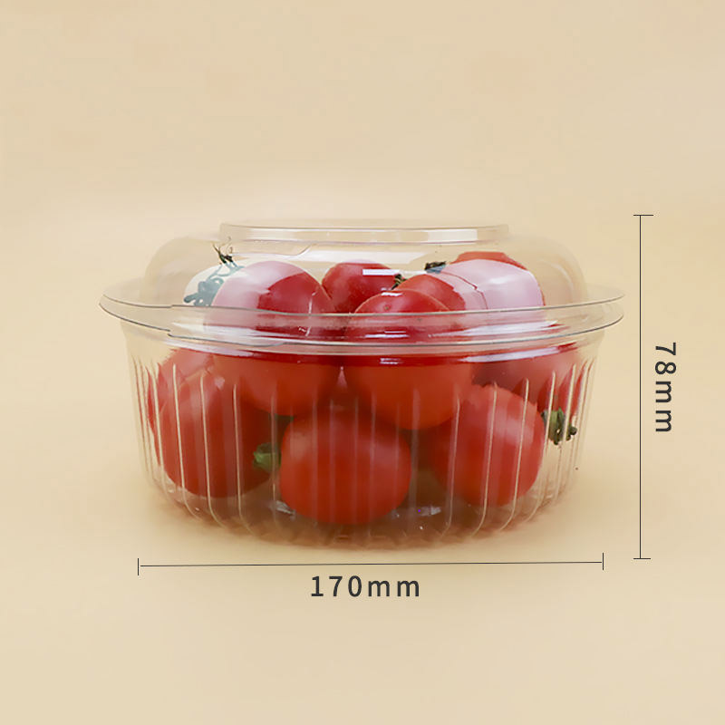 Caixa de frutas de armazenamento de embalagem de embalagem de embalagem de frutas transparentes descartáveis ​​plásticas descartáveis
