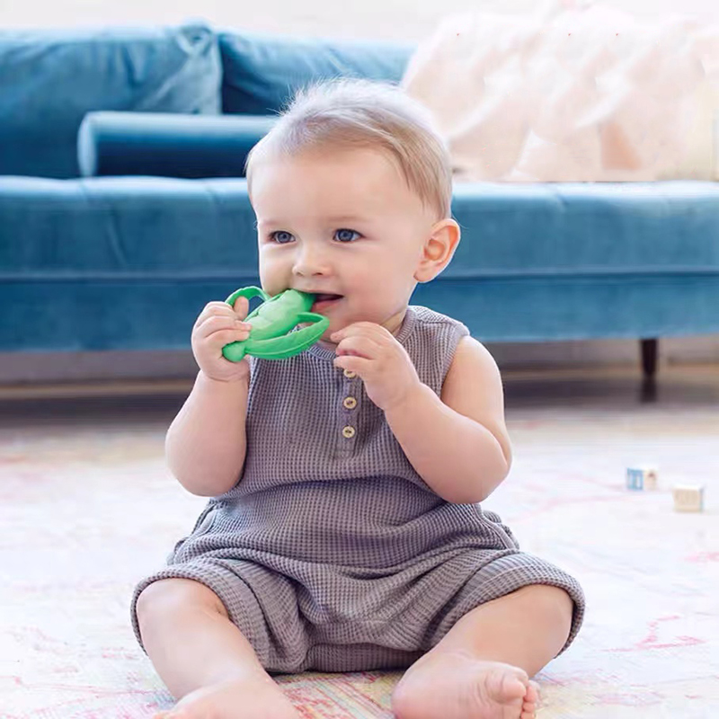 Novos dentes de chegada!