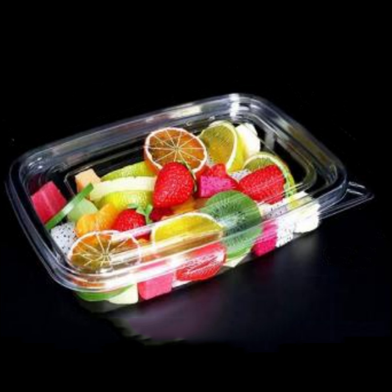 Salada Caixa de salada 245*175*45 mm HGF-fg1