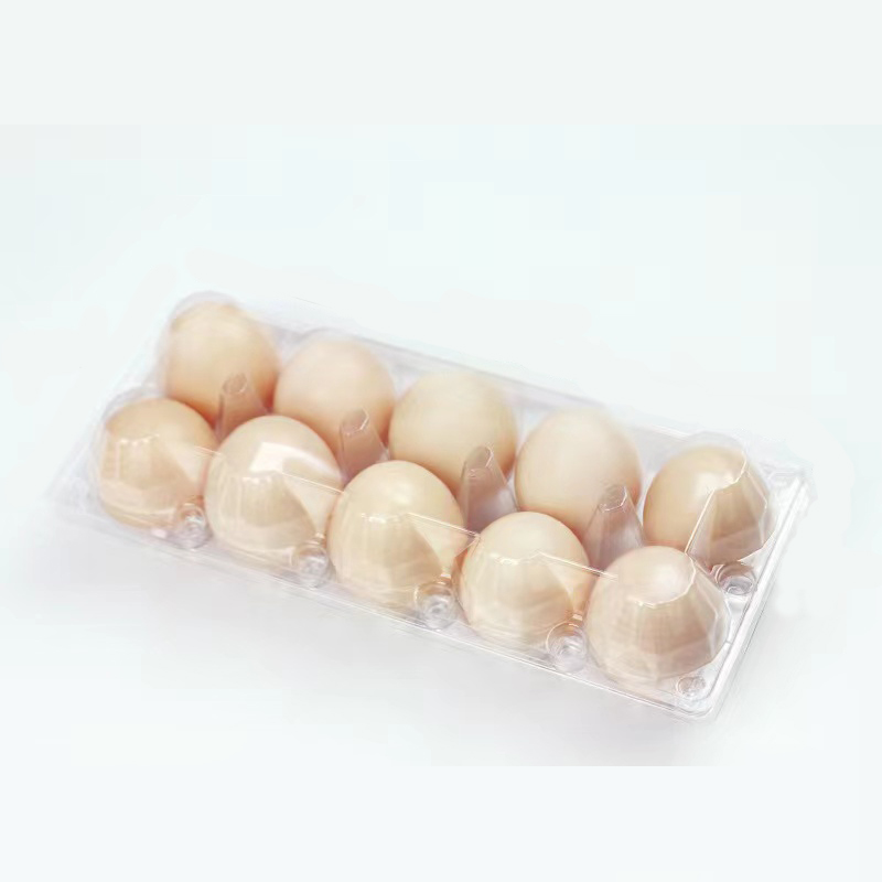 Bandeja de ovo (médio) 240*100*63 mm 10 ranhuras