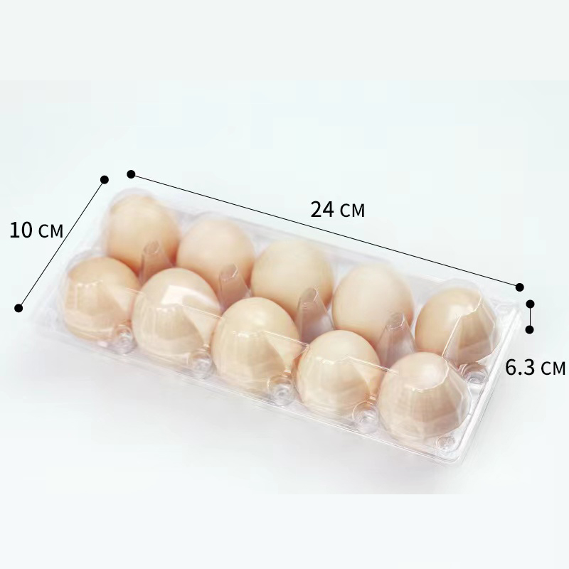 Bandeja de ovo (médio) 240*100*63 mm 10 ranhuras