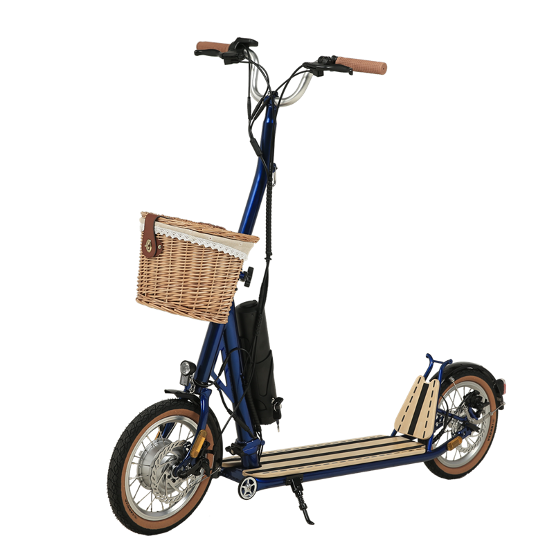H10- 14 polegadas dobráveis ​​machanismo scooter elétrico