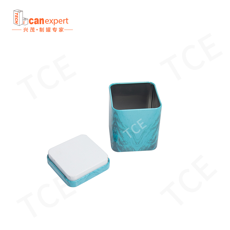 TCE-New Design Tin Gift Box Packaging latas de embalagem de 0,28 mm