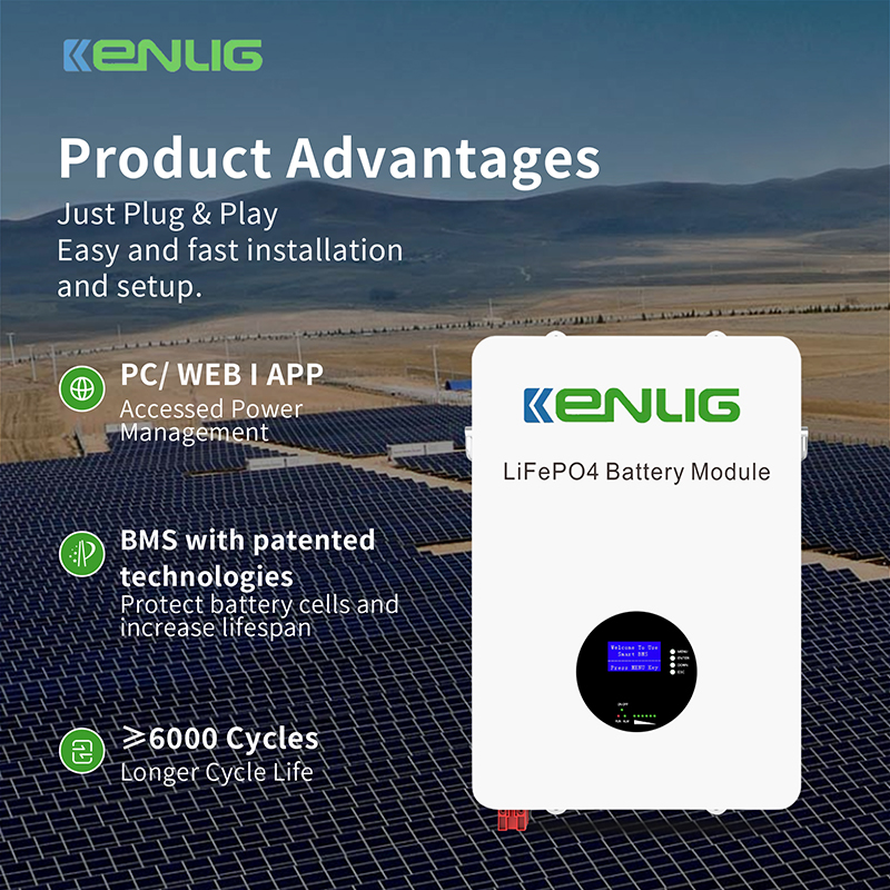 Por que escolher baterias de fosfato de ferro lítio?