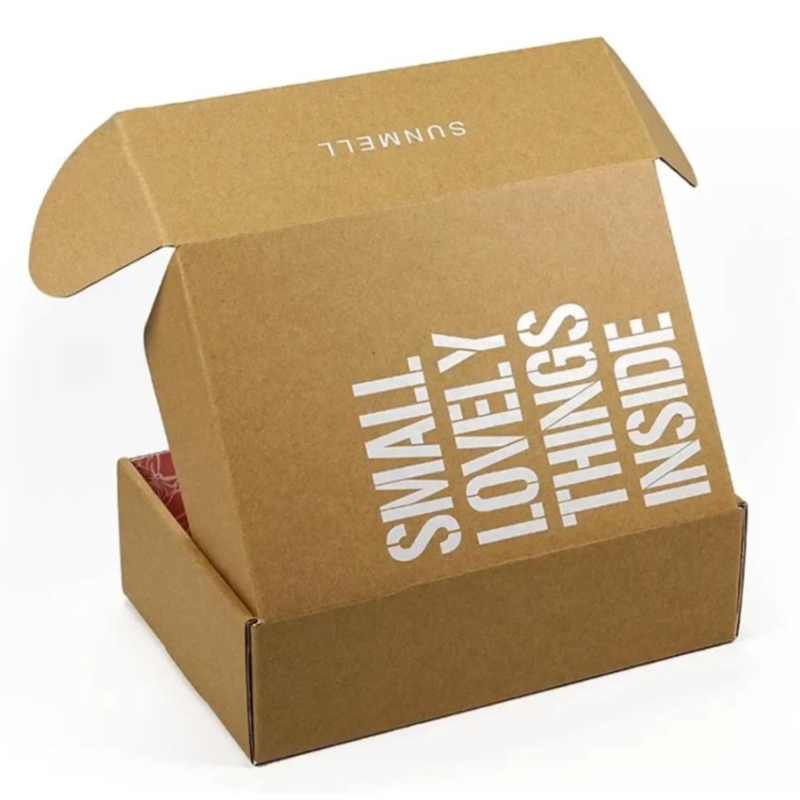 Logotipo de impressão personalizada Cosmética de embalagem corrugada Caixa de papel Mailer Box Box de transporte de avião