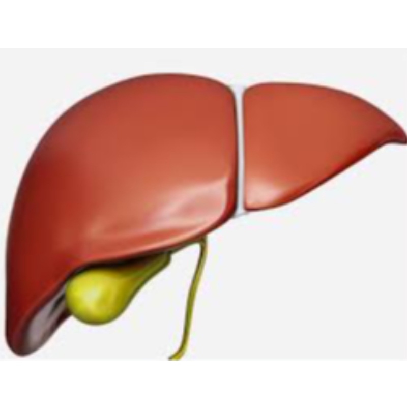 NMN evita o envelhecimento do fígado
