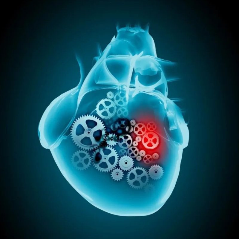 Progresso da pesquisa do NAD+no tratamento de doenças cardiovasculares