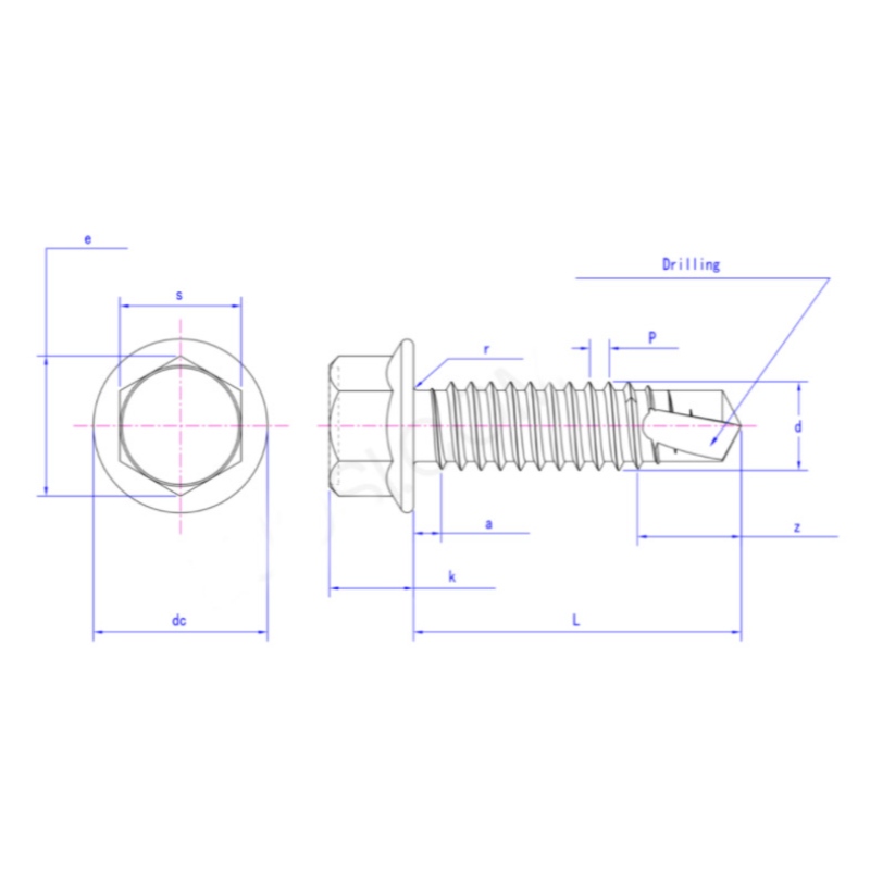 Flange hexagonal em aço inoxidável auto-parafusos de rosca