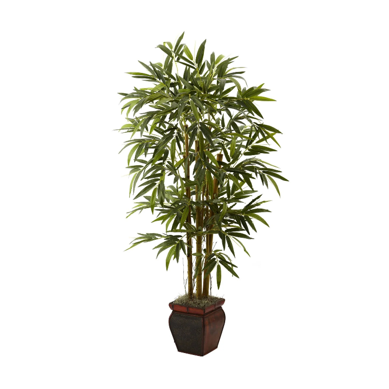 Plantas decorativas