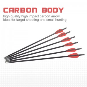 119722 parafusos de besta de 12,8 polegadas OD5,5 mm